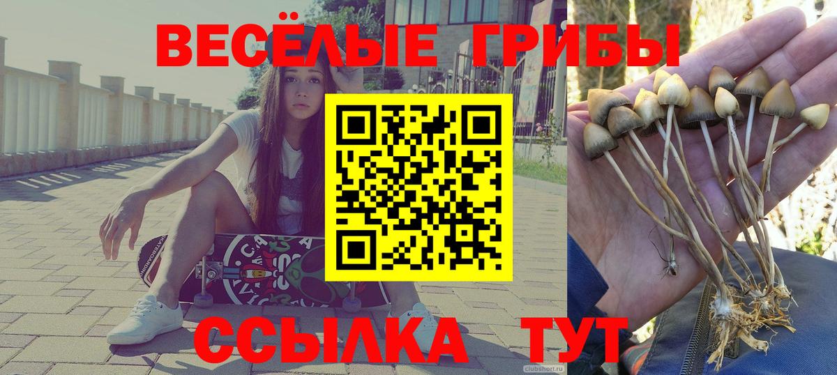 Галлюциногенные грибы мицелий Нефтеюганск